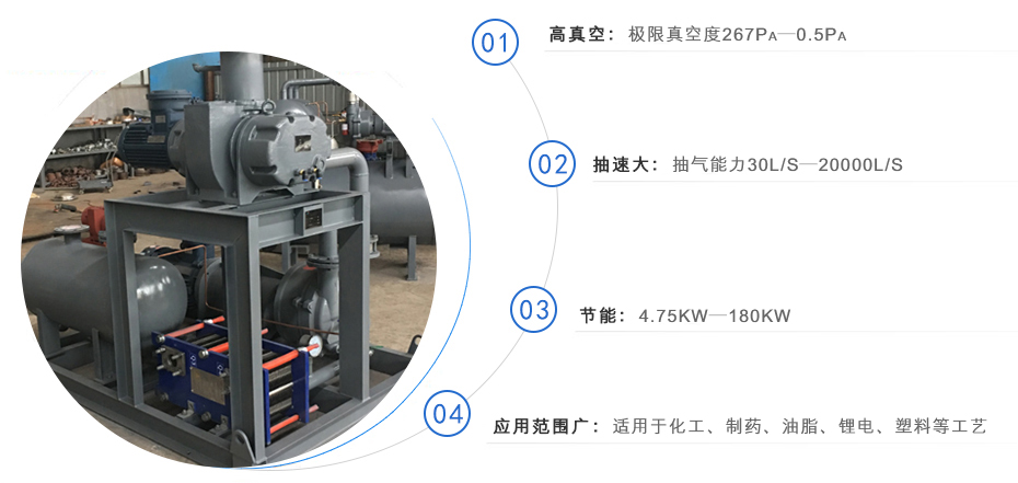 羅茨泵+水環(huán)真空泵機(jī)組 羅茨泵+水環(huán)真空泵機(jī)組